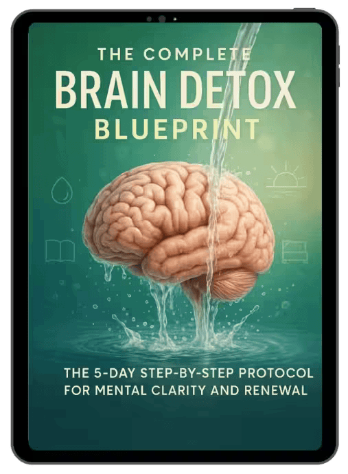 Neurovera-Bonus-1-The Complete Brain Detox Blueprint